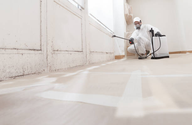 24/7 Emergency Basement Mold Remediation experts in Wellsville, PA