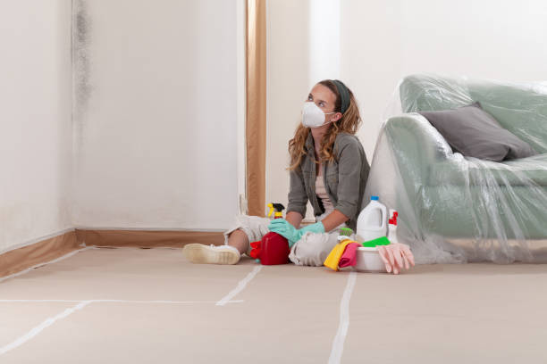 Reliable Basement Mold Remediation contractor in Wellsville, PA by WQB Mold Removal